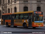 Coniferal 26 na cidade de Córdoba, Capital, Córdoba, Argentina, por Agustin SanCristobal1712. Número da foto: #13181808.
