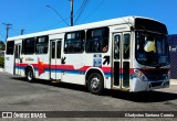 Transporte Tropical 4322 na cidade de Aracaju, Sergipe, Brasil, por Gladyston Santana Correia. Número da foto: #13183114.