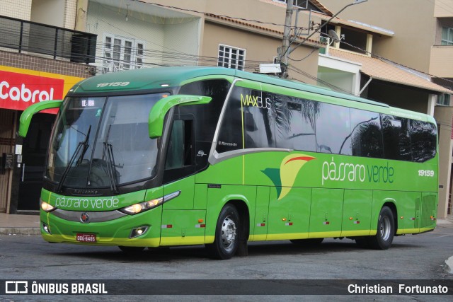 Pássaro Verde 19159 na cidade de Coimbra, Minas Gerais, Brasil, por Christian  Fortunato. Número da foto: #13205089.
