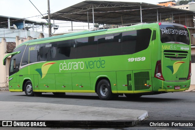 Pássaro Verde 19159 na cidade de Coimbra, Minas Gerais, Brasil, por Christian  Fortunato. Número da foto: #13205092.