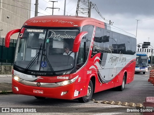 Empresa de Ônibus Pássaro Marron 5646 na cidade de São Paulo, São Paulo, Brasil, por Brenno Santos. Número da foto: #13205394.