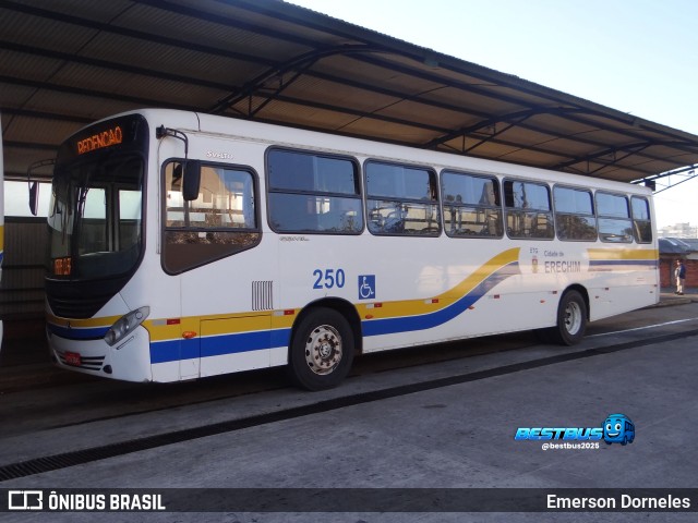 Empresa de Transportes Gaurama 250 na cidade de Erechim, Rio Grande do Sul, Brasil, por Emerson Dorneles. Número da foto: #13206437.