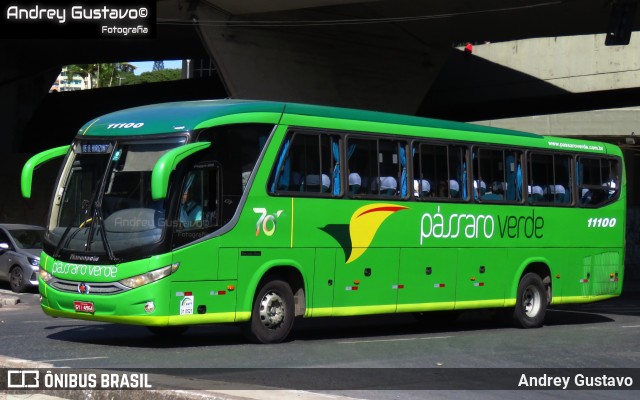 Pássaro Verde 11100 na cidade de Belo Horizonte, Minas Gerais, Brasil, por Andrey Gustavo. Número da foto: #13206483.