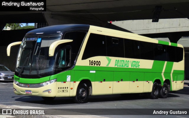 Pássaro Verde 16900 na cidade de Belo Horizonte, Minas Gerais, Brasil, por Andrey Gustavo. Número da foto: #13206486.