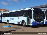 Transcal Sul Transportes Coletivos 24219 na cidade de Porto Alegre, Rio Grande do Sul, Brasil, por Emerson Dorneles. Número da foto: #:id.