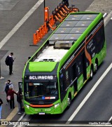TRANSPPASS - Transporte de Passageiros 8 0235 na cidade de São Paulo, São Paulo, Brasil, por Hipólito Rodrigues. Número da foto: #:id.