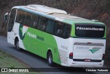 Pássaro Verde 29020 na cidade de Coimbra, Minas Gerais, Brasil, por Christian  Fortunato. Número da foto: #13205087.