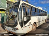 Ônibus Particulares 1585 na cidade de Anápolis, Goiás, Brasil, por Sullyvan Martins Ribeiro. Número da foto: #13207035.
