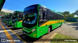 Transportes Capellini 32579 na cidade de Paulínia, São Paulo, Brasil, por Allan Henrique. Número da foto: #13206209.