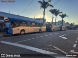 Rosa Turismo 19301 na cidade de Tatuí, São Paulo, Brasil, por Breno Bueno. Número da foto: #:id.