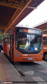 VCG - Viação Campos Gerais 1487 na cidade de Ponta Grossa, Paraná, Brasil, por BrunyBus Prado. Número da foto: #13205998.