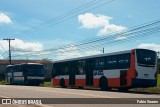 Ônibus Particulares EZL9J74 na cidade de Benevides, Pará, Brasil, por Fabio Soares. Número da foto: #13205784.
