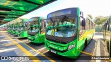 Transportes Capellini 32572 na cidade de Paulínia, São Paulo, Brasil, por Allan Henrique. Número da foto: #13206199.