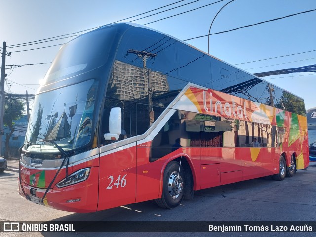 Buses Linatal 246 na cidade de Estación Central, Santiago, Metropolitana de Santiago, Chile, por Benjamín Tomás Lazo Acuña. Número da foto: #13207497.