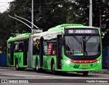 Next Mobilidade - ABC Sistema de Transporte 8121 na cidade de São Paulo, São Paulo, Brasil, por Hipólito Rodrigues. Número da foto: #13208129.