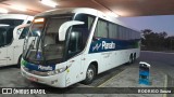 Planalto Transportes 1803 na cidade de Pelotas, Rio Grande do Sul, Brasil, por RODRIGO Souza. Número da foto: #13208540.