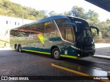 Pássaro Verde 11104 na cidade de Itabirito, Minas Gerais, Brasil, por Arthur Soares. Número da foto: #13208618.