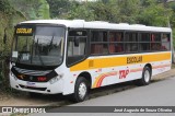 TAP Turismo e Fretamento 099 na cidade de Barra do Piraí, Rio de Janeiro, Brasil, por José Augusto de Souza Oliveira. Número da foto: #13208377.