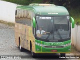 Pássaro Verde 15129 na cidade de Ouro Preto, Minas Gerais, Brasil, por Helder José Santos Luz. Número da foto: #:id.