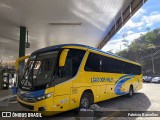 Viação Lírio dos Vales 10900 na cidade de Santa Teresa, Espírito Santo, Brasil, por Fabrício Barcellos. Número da foto: #13210465.