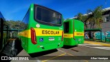 Transportes Capellini 32959 na cidade de Paulínia, São Paulo, Brasil, por Allan Henrique. Número da foto: #13209828.