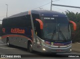 Cati Rose Transporte de Passageiros 187 na cidade de São Bernardo do Campo, São Paulo, Brasil, por Adriano Luis. Número da foto: #:id.