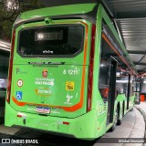 TRANSPPASS - Transporte de Passageiros 8 1211 na cidade de São Paulo, São Paulo, Brasil, por Michel Nowacki. Número da foto: #13210144.