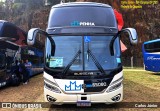 Empresa de Ônibus Nossa Senhora da Penha 65080 na cidade de Campinas, São Paulo, Brasil, por Carlos Júnior. Número da foto: #13212122.