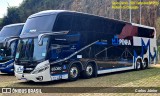 Empresa de Ônibus Nossa Senhora da Penha 65080 na cidade de Campinas, São Paulo, Brasil, por Carlos Júnior. Número da foto: #13212152.