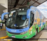 UTIL - União Transporte Interestadual de Luxo 6407 na cidade de Rio Verde, Goiás, Brasil, por Daniel Henrique. Número da foto: #13210104.