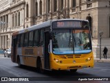 Coniferal 19 na cidade de Córdoba, Capital, Córdoba, Argentina, por Agustin SanCristobal1712. Número da foto: #13211672.