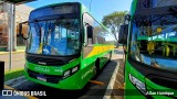 Transportes Capellini 32958 na cidade de Paulínia, São Paulo, Brasil, por Allan Henrique. Número da foto: #13209830.