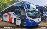 CMW Transportes 1313 na cidade de Campinas, São Paulo, Brasil, por Carlos Júnior. Número da foto: #13211071.