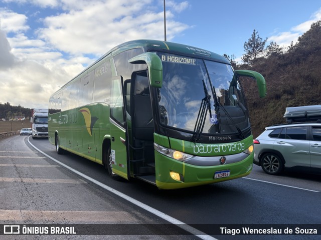 Pássaro Verde 16909 na cidade de Nova Lima, Minas Gerais, Brasil, por Tiago Wenceslau de Souza. Número da foto: #13213659.