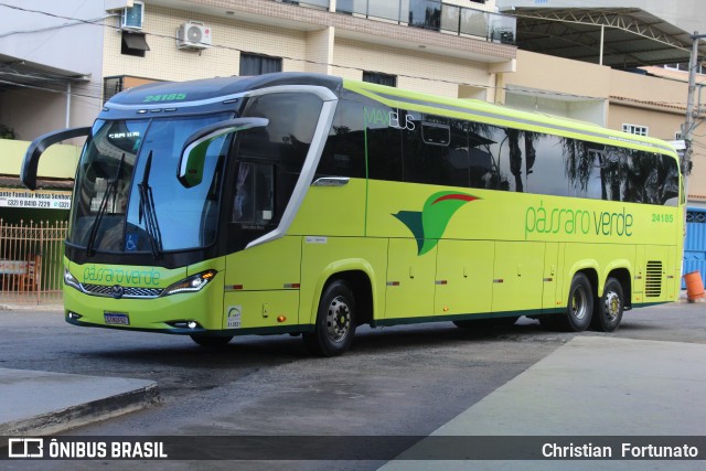 Pássaro Verde 24185 na cidade de Coimbra, Minas Gerais, Brasil, por Christian  Fortunato. Número da foto: #13213022.