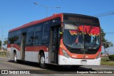Buses Omega 6053 na cidade de La Pintana, Santiago, Metropolitana de Santiago, Chile, por Benjamín Tomás Lazo Acuña. Número da foto: #13214672.