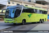 Pássaro Verde 24185 na cidade de Coimbra, Minas Gerais, Brasil, por Christian  Fortunato. Número da foto: #13213022.