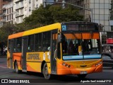 Coniferal 83 na cidade de Córdoba, Capital, Córdoba, Argentina, por Agustin SanCristobal1712. Número da foto: #13214718.