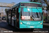 Autobuses sin identificación - Chile BJFY38 na cidade de Maipú, Santiago, Metropolitana de Santiago, Chile, por Benjamín Tomás Lazo Acuña. Número da foto: #13214744.