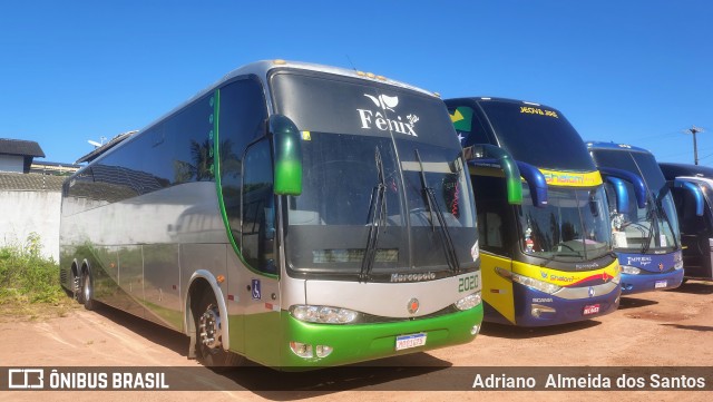 Fênix Turismo 2020 na cidade de Trairi, Ceará, Brasil, por Adriano  Almeida dos Santos. Número da foto: #13215704.