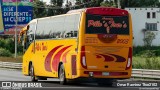 Pillo's Tour's 2003 na cidade de Huehuetoca, Estado de México, México, por Omar Ramírez Thor2102. Número da foto: #13218160.