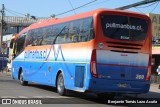 Pullman Bus 260 na cidade de Estación Central, Santiago, Metropolitana de Santiago, Chile, por Benjamín Tomás Lazo Acuña. Número da foto: #13215508.