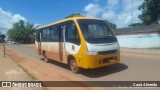 Avis Pará 6416 na cidade de Santarém, Pará, Brasil, por Cauã Almeida. Número da foto: #13216310.