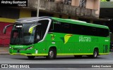 Pássaro Verde 23181 na cidade de Belo Horizonte, Minas Gerais, Brasil, por Andrey Gustavo. Número da foto: #13215933.
