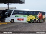 Eucatur - Empresa União Cascavel de Transportes e Turismo 4911 na cidade de Imbaú, Paraná, Brasil, por Gabriel Guachineski. Número da foto: #13217578.