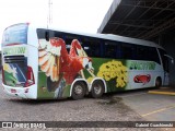 Eucatur - Empresa União Cascavel de Transportes e Turismo 4911 na cidade de Imbaú, Paraná, Brasil, por Gabriel Guachineski. Número da foto: #13217574.