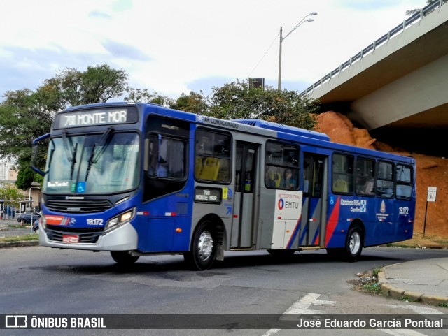 Transportes Capellini 19.172 na cidade de Campinas, São Paulo, Brasil, por José Eduardo Garcia Pontual. Número da foto: #13220827.