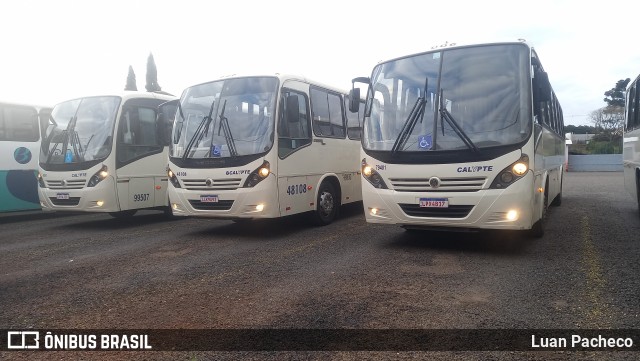Calypte Transportes 79 401 na cidade de Pato Branco, Paraná, Brasil, por Luan Pacheco. Número da foto: #13218429.