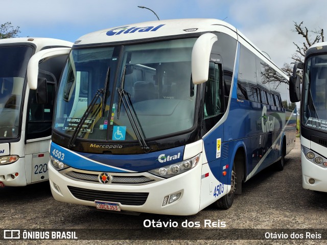 Citral Transporte e Turismo 4503 na cidade de São Leopoldo, Rio Grande do Sul, Brasil, por Otávio dos Reis . Número da foto: #13219730.