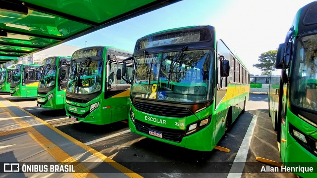 Transportes Capellini 3239 na cidade de Paulínia, São Paulo, Brasil, por Allan Henrique. Número da foto: #13220641.